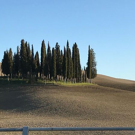 Il Giuggiolo Leilighet Montalcino Eksteriør bilde
