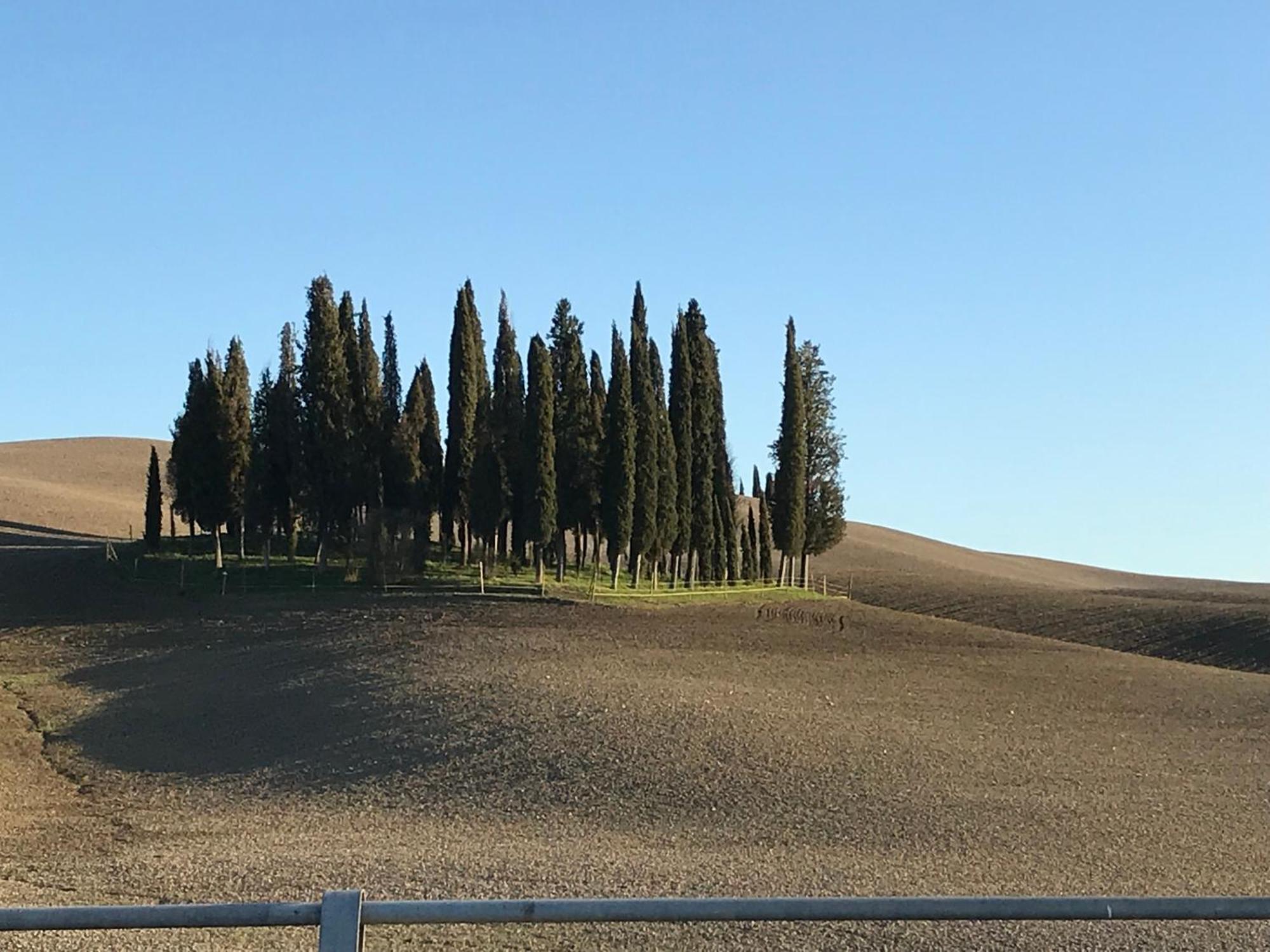Il Giuggiolo Leilighet Montalcino Eksteriør bilde
