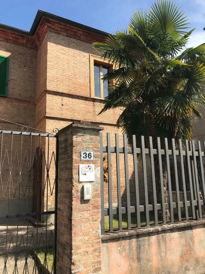 Il Giuggiolo Leilighet Montalcino Eksteriør bilde